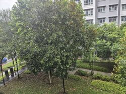 Blk 424C Orchid Spring @ Yishun (Yishun), HDB 4 Rooms #580703651